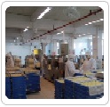 下屬公司：廣東省斗門水產綜合加工廠，珠海斗門永昌水產冷凍有限公司