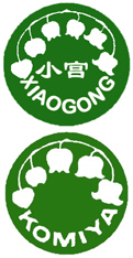 關于我們的小宮拉面 width=